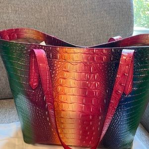 Brahmin Ellen 1st generation Pride Bag